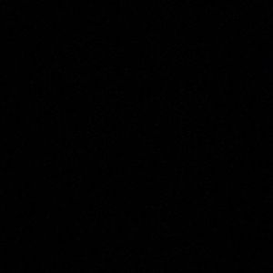 Meet your Posher, Darius